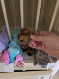 TY Beanie Babies Plush Animal Toys - thumbnail 4 of 5