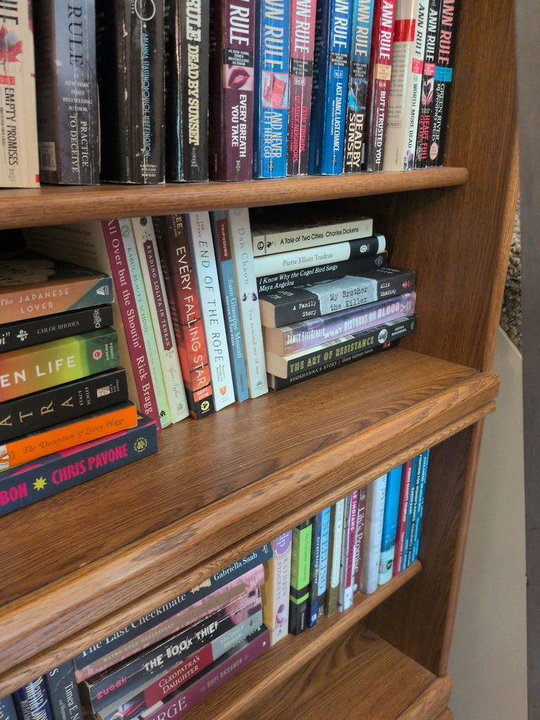 Bookshelf with Assorted Books - image 4 of 4