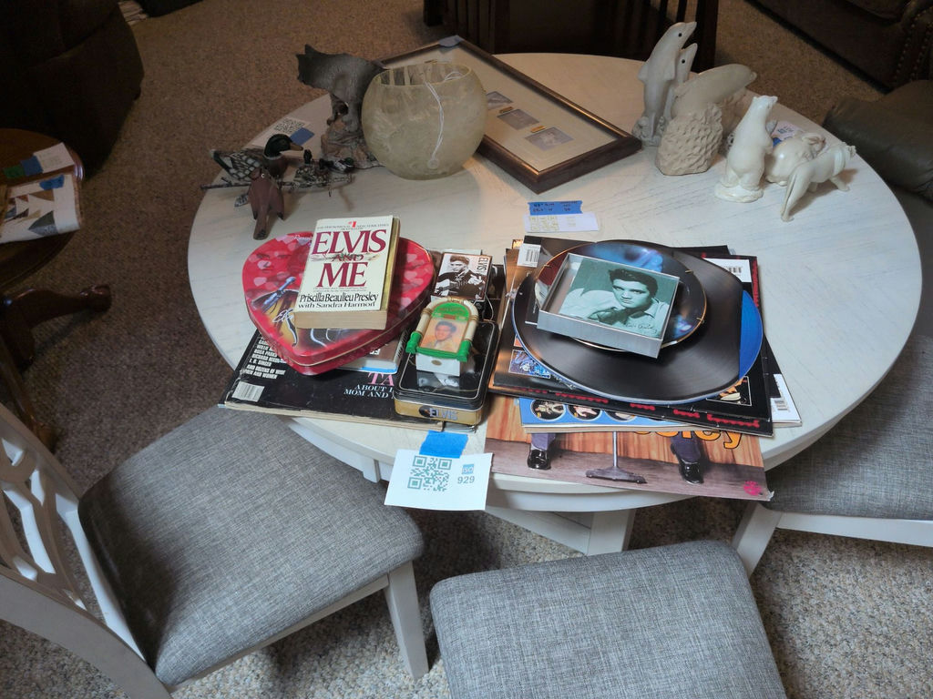 Elvis Presley Collectibles and Media Lot - image 1 of 15