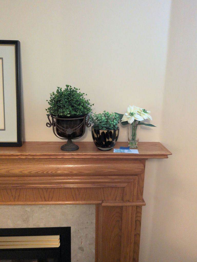 Artificial Plants and Faux White Florals - image 1 of 4