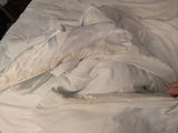 Queen Size Floral Bedding Set - thumbnail 3 of 6