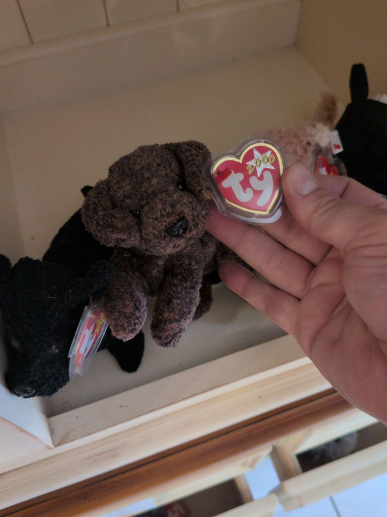 TY Beanie Babies Plush Dog Toys - image 4 of 6