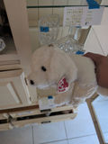 TY Classic White Plush Dog - thumbnail 2 of 4