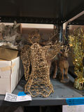 Christmas Holiday Decor Assortment - thumbnail 3 of 8