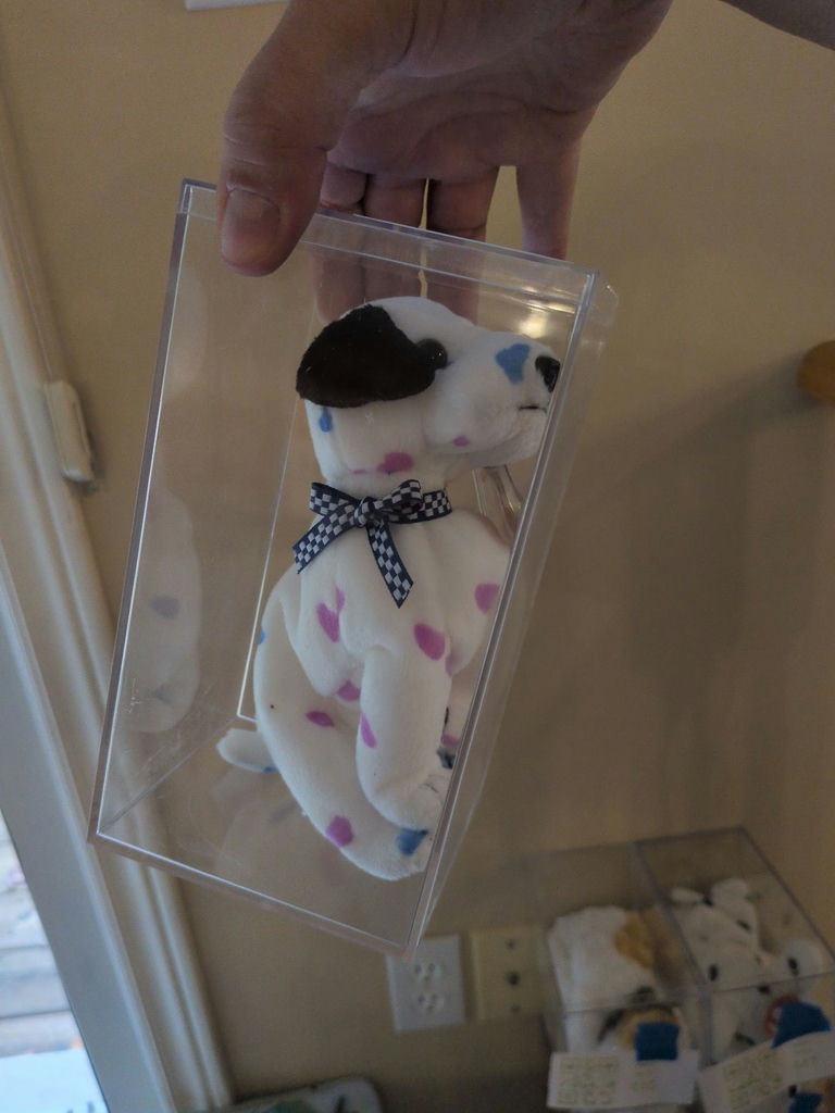 TY Beanie Baby Dalmation in Clear Display Case - image 2 of 4
