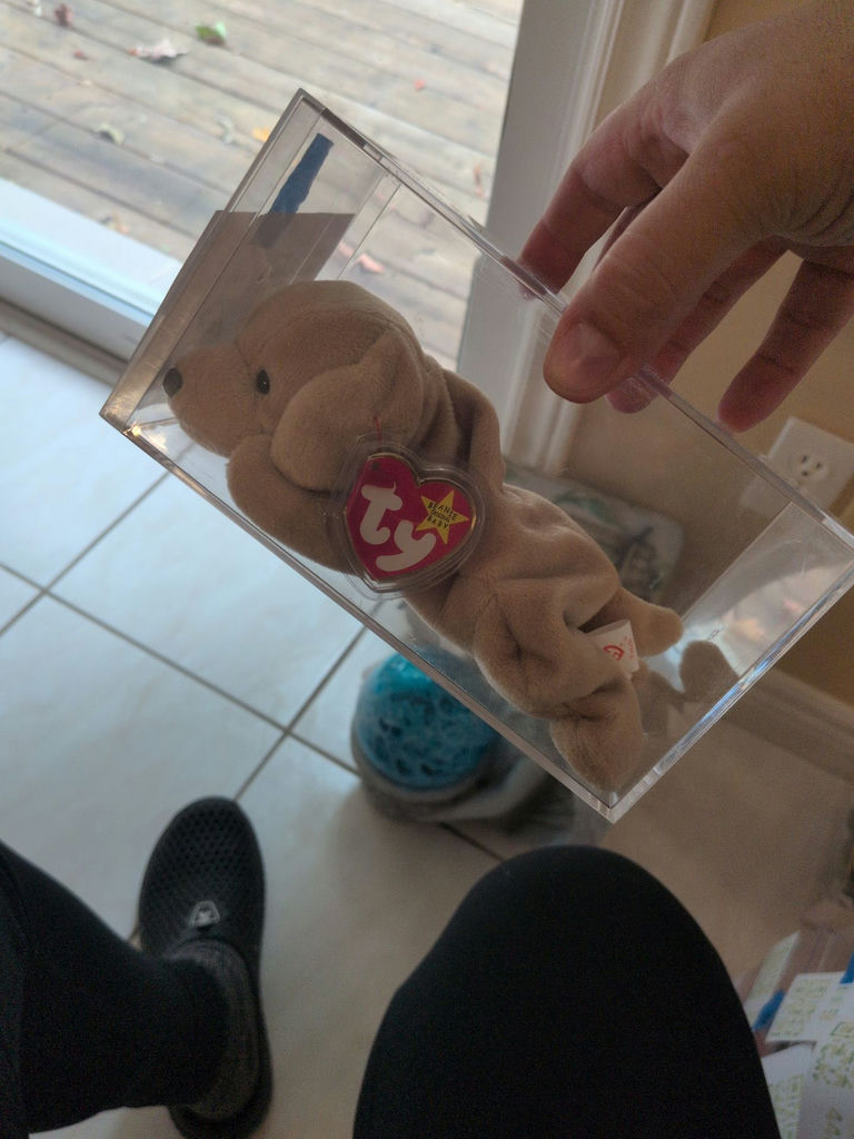 TY Beanie Baby 'Fetch' in Clear Display Case - image 2 of 4