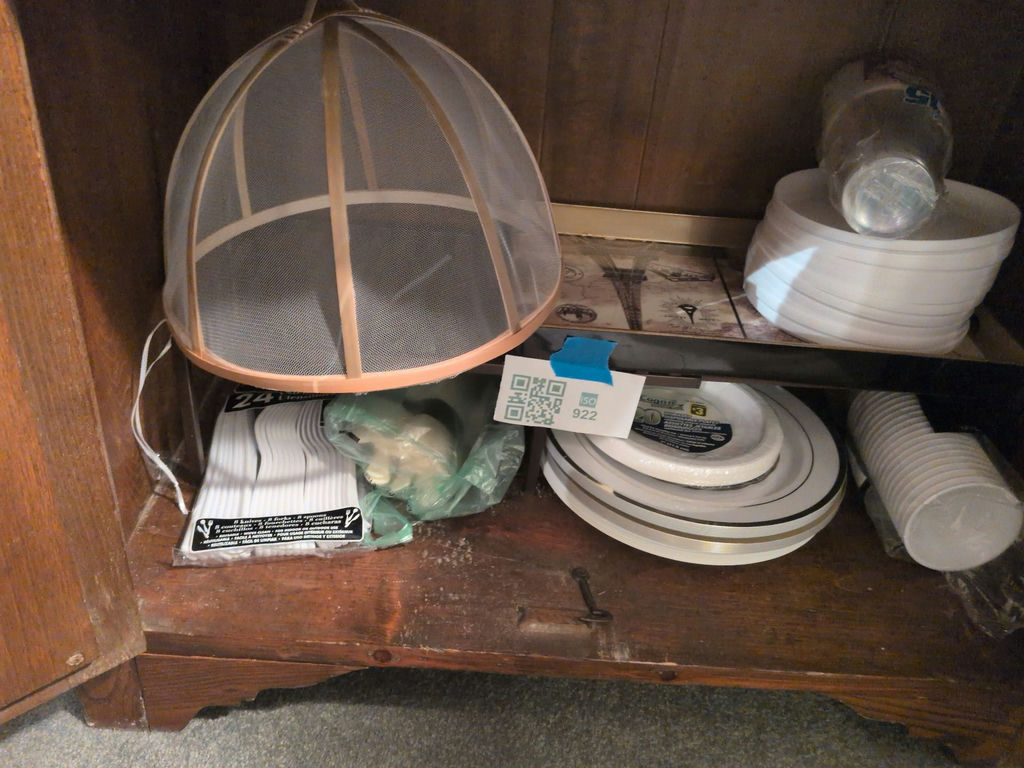 Disposable Plates, Bowls, Cups, Cutlery, and Mesh Food Cover - image 1 of 7