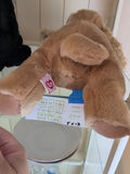 TY Beanie Baby Buddy Plush Dog - thumbnail 4 of 4