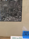 Framed Black and White Forest Landscape Photograph - thumbnail 3 of 4