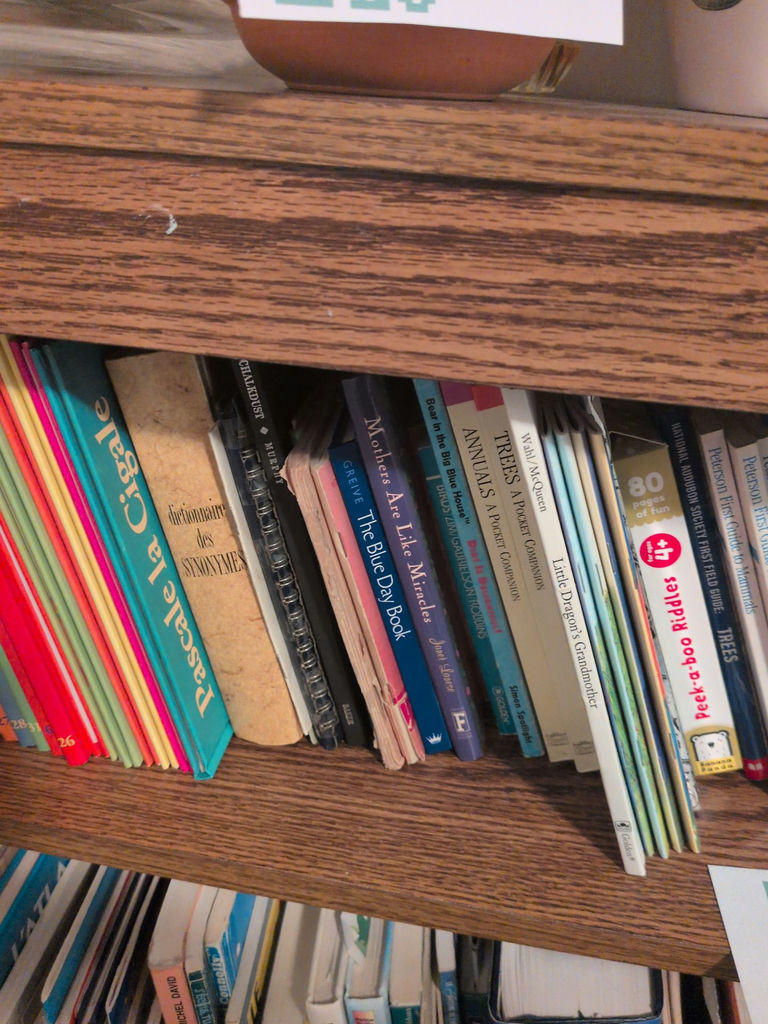 Collection of Children's and Reference Books - image 3 of 4
