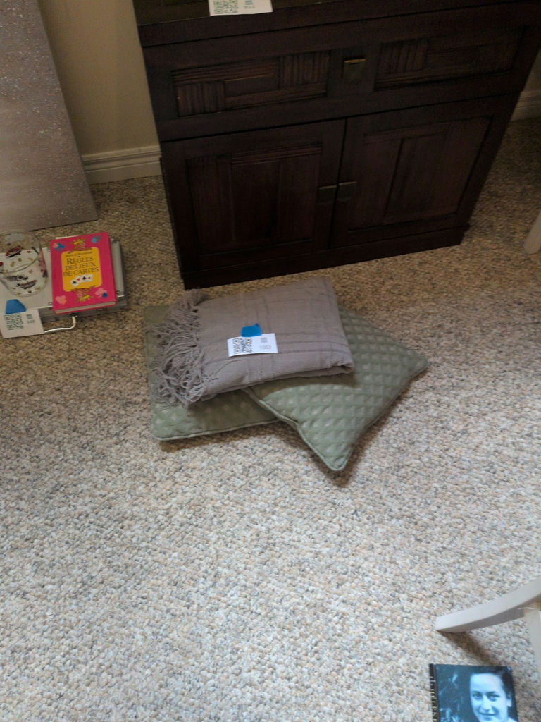 Two Decorative Pillows and Fringed Throw Blanket - image 1 of 4