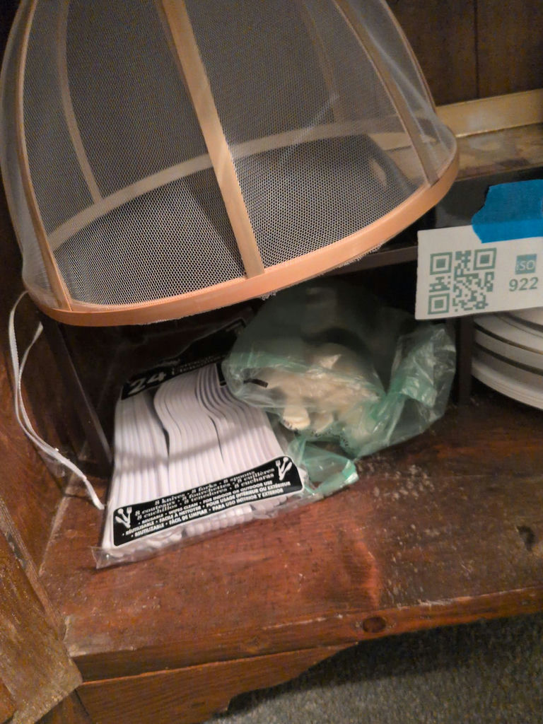 Disposable Plates, Bowls, Cups, Cutlery, and Mesh Food Cover - image 5 of 7