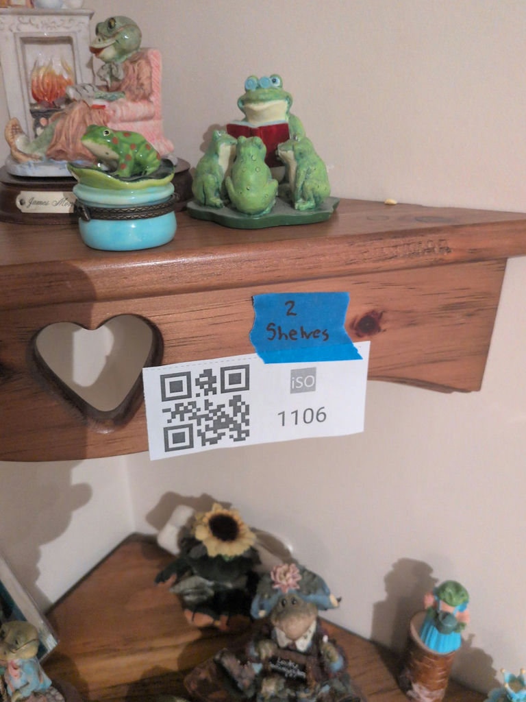 Assorted Frog Decorations - image 8 of 8