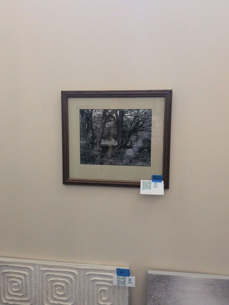 Framed Black and White Forest Landscape Photograph - image 1 of 4
