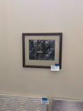 Framed Black and White Forest Landscape Photograph - thumbnail 1 of 4