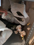 Artificial Flowers, Floral Petals, and Floral Arrangement Supplies - thumbnail 6 of 6