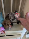 TY Beanie Babies Plush Animal Toys - thumbnail 5 of 5
