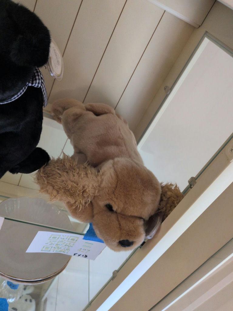 TY Beanie Baby Buddy Plush Dog - image 2 of 4