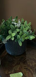 Artificial Floral Arrangements and Potted Greenery - thumbnail 4 of 4