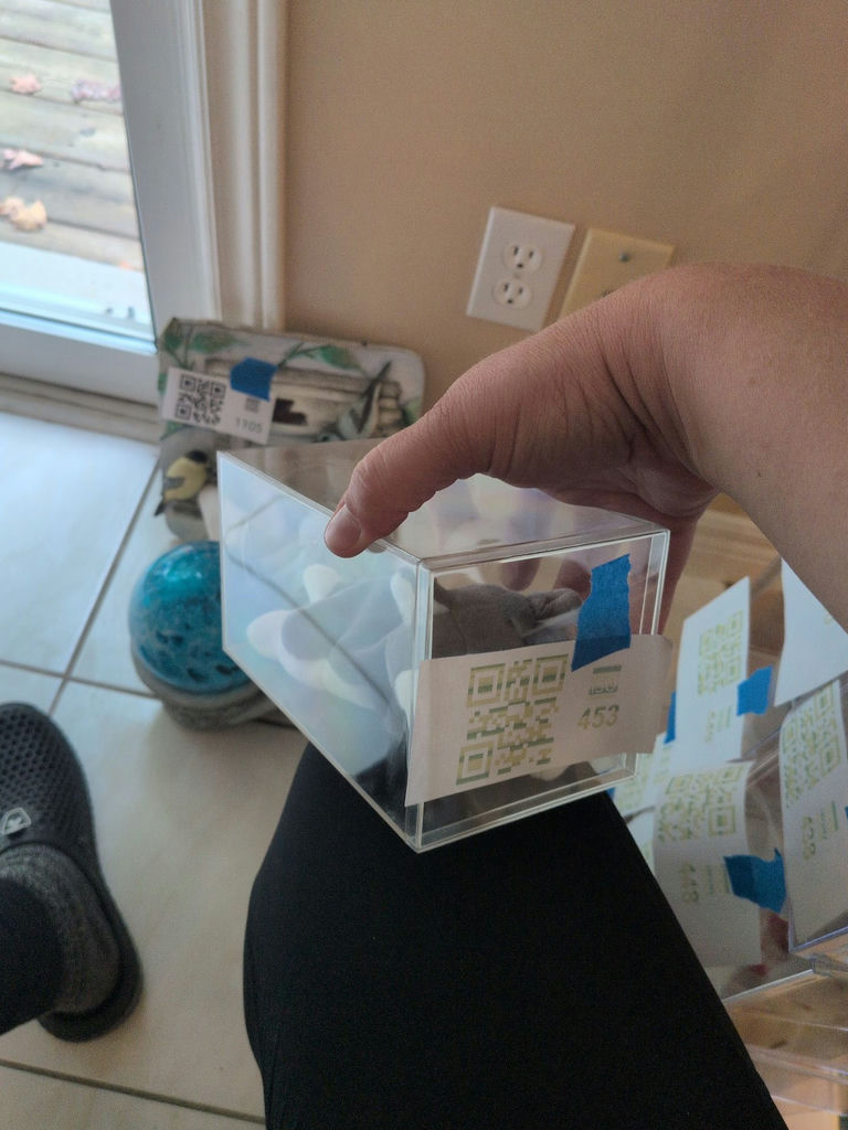 TY Beanie Baby 'Nanook' Husky in Clear Display Case - image 1 of 4