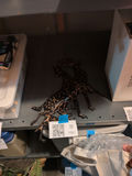 Decorative Metal Deer Figures and Various Christmas Decor - thumbnail 2 of 7