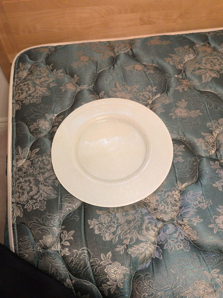 Decorative Charger Plates Set - image 6 of 7