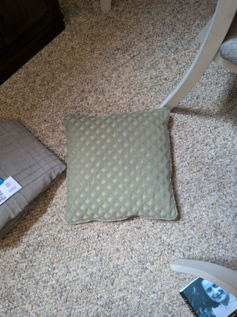 Two Decorative Pillows and Fringed Throw Blanket - image 3 of 4
