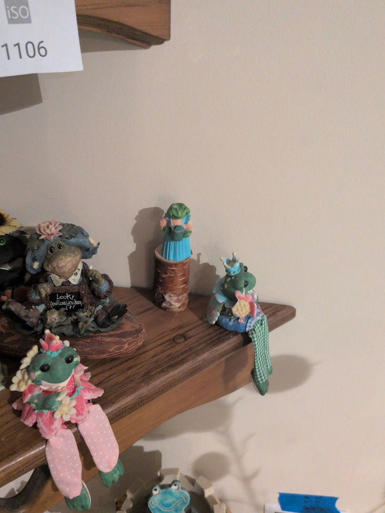 Assorted Frog Decorations - image 5 of 8