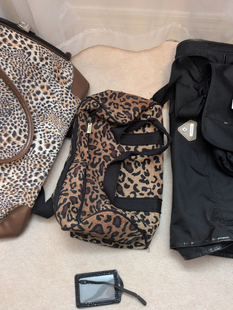 Leopard Print Travel Bags - image 4 of 11