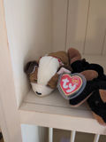 TY Beanie Babies Plush Dog Toys - thumbnail 2 of 5