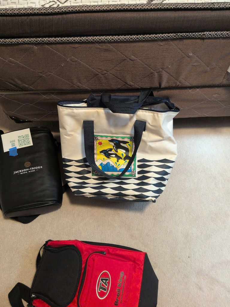 Assorted Insulated Cooler Bags and Tote Bag - image 3 of 5