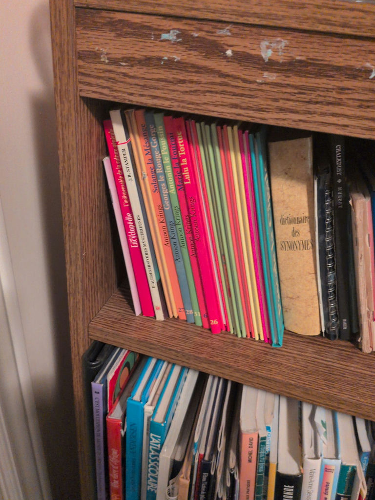 Collection of Children's and Reference Books - image 2 of 4