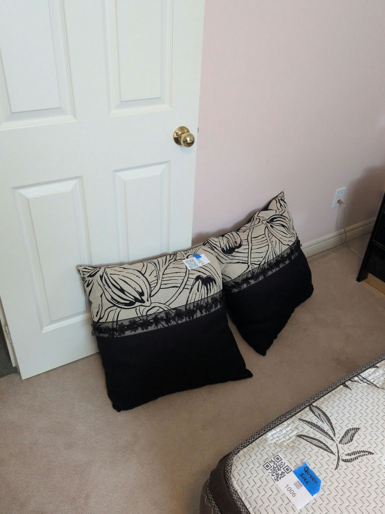 Pair of Black and White Floral Throw Pillows - image 1 of 6