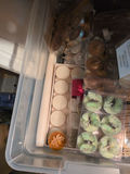 NOMA String Lights and Assorted Candles - thumbnail 5 of 7