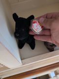TY Beanie Babies Plush Dog Toys - thumbnail 3 of 6