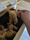 TY Beanie Babies Plush Animal Toys - thumbnail 5 of 5