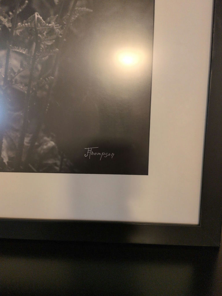 Framed Black and White Floral Wall Art Print - image 2 of 4