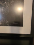 Framed Black and White Floral Wall Art Print - thumbnail 2 of 4