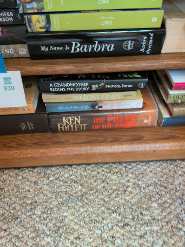 Assorted Hardcover and Paperback Books - image 6 of 7