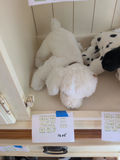 TY Classic White Plush Dog - thumbnail 1 of 4
