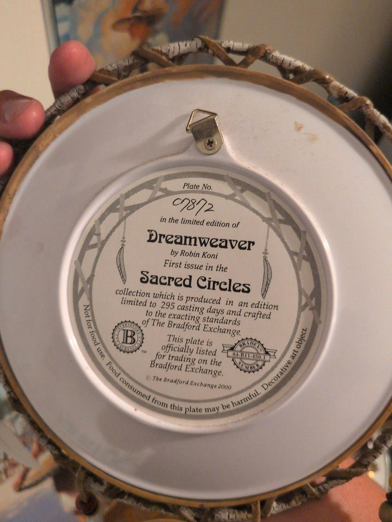 Decorative plates and dreamcatchers - image 5 of 13