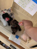 TY Beanie Babies Plush Animal Toys - thumbnail 4 of 5