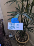 Artificial Bamboo Plant in Decorative Pot - thumbnail 5 of 5