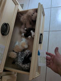 TY Beanie Babies Plush Dog Toys - thumbnail 1 of 5