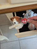 TY Beanie Babies Plush Animal Toys - thumbnail 2 of 5