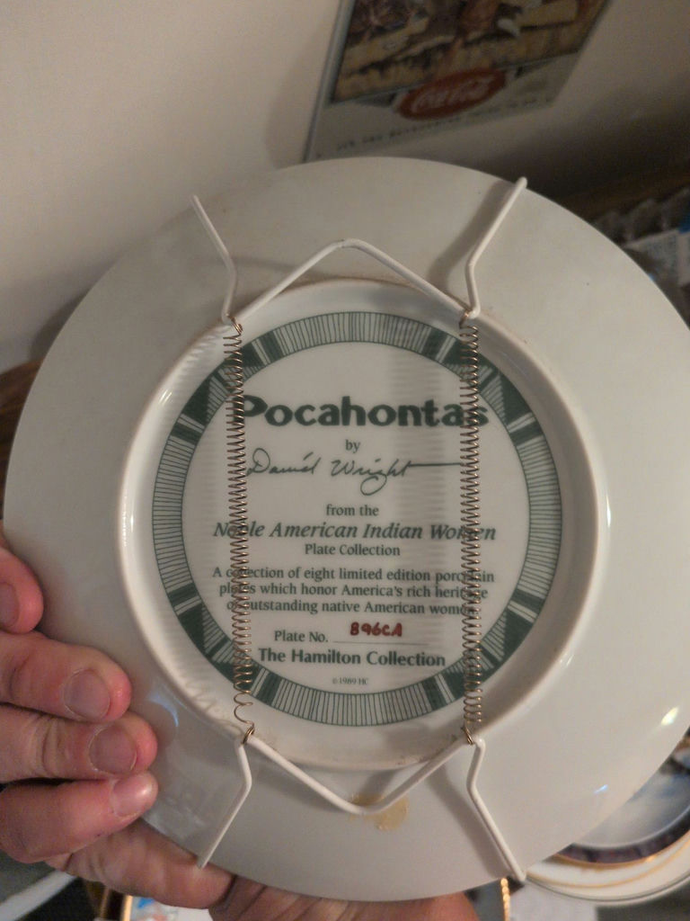 Decorative plates and dreamcatchers - image 3 of 13