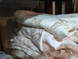 Assorted Table Linens and Placemats - thumbnail 6 of 7