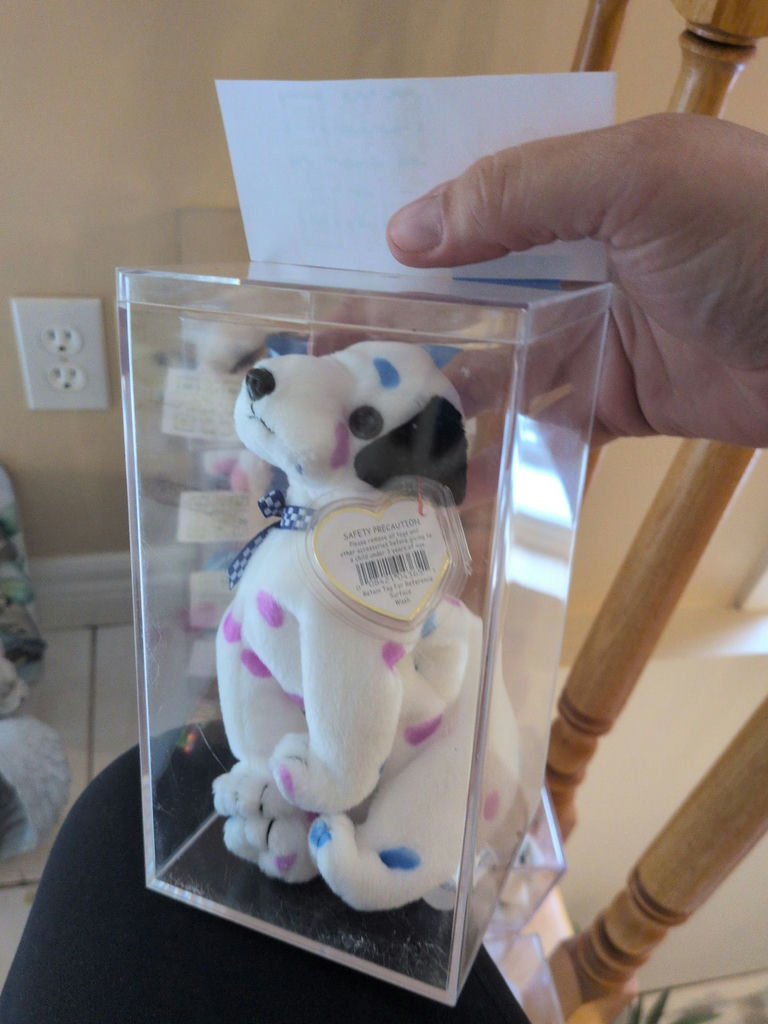 TY Beanie Baby Dalmation in Clear Display Case - image 3 of 4