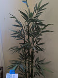Artificial Bamboo Plant in Decorative Pot - thumbnail 4 of 5