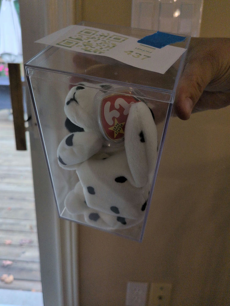 TY Beanie Baby Dotty Dalmatian in Clear Display Case - image 3 of 4